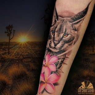 🔥 Горячие фото, портфолио модели  #39019  