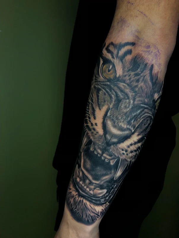 Realism Tiger tattoo on Forearm