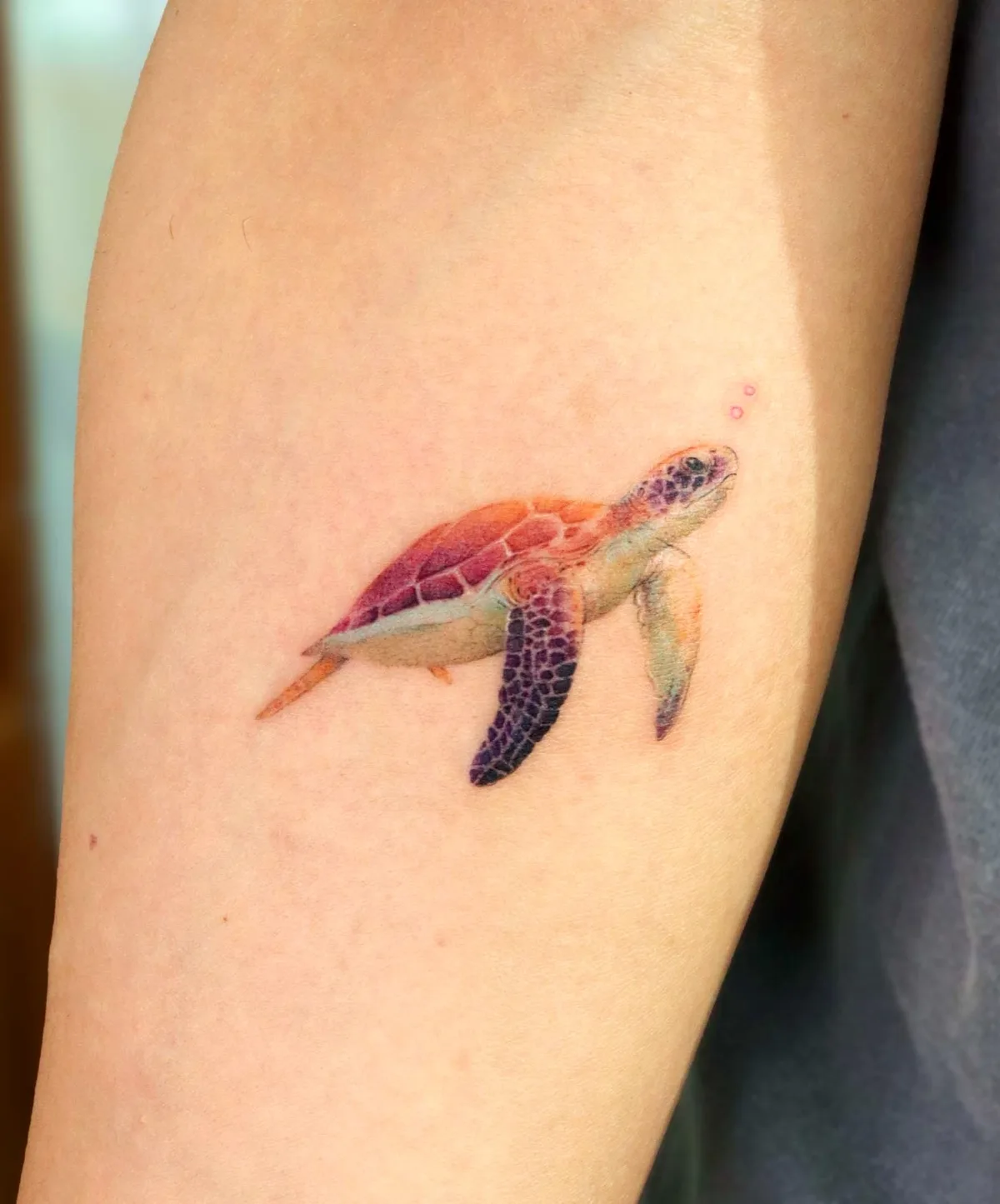 Tatuaggio di tartaruga colorata da artista coreano Eunyu