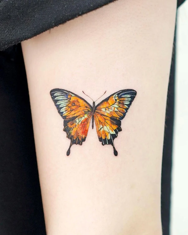 Watercolor Butterfly tattoo on Forearm