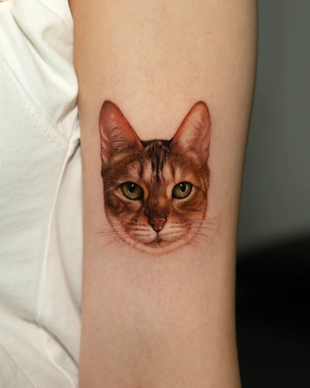 Realism Cat tattoo on Upper Arm