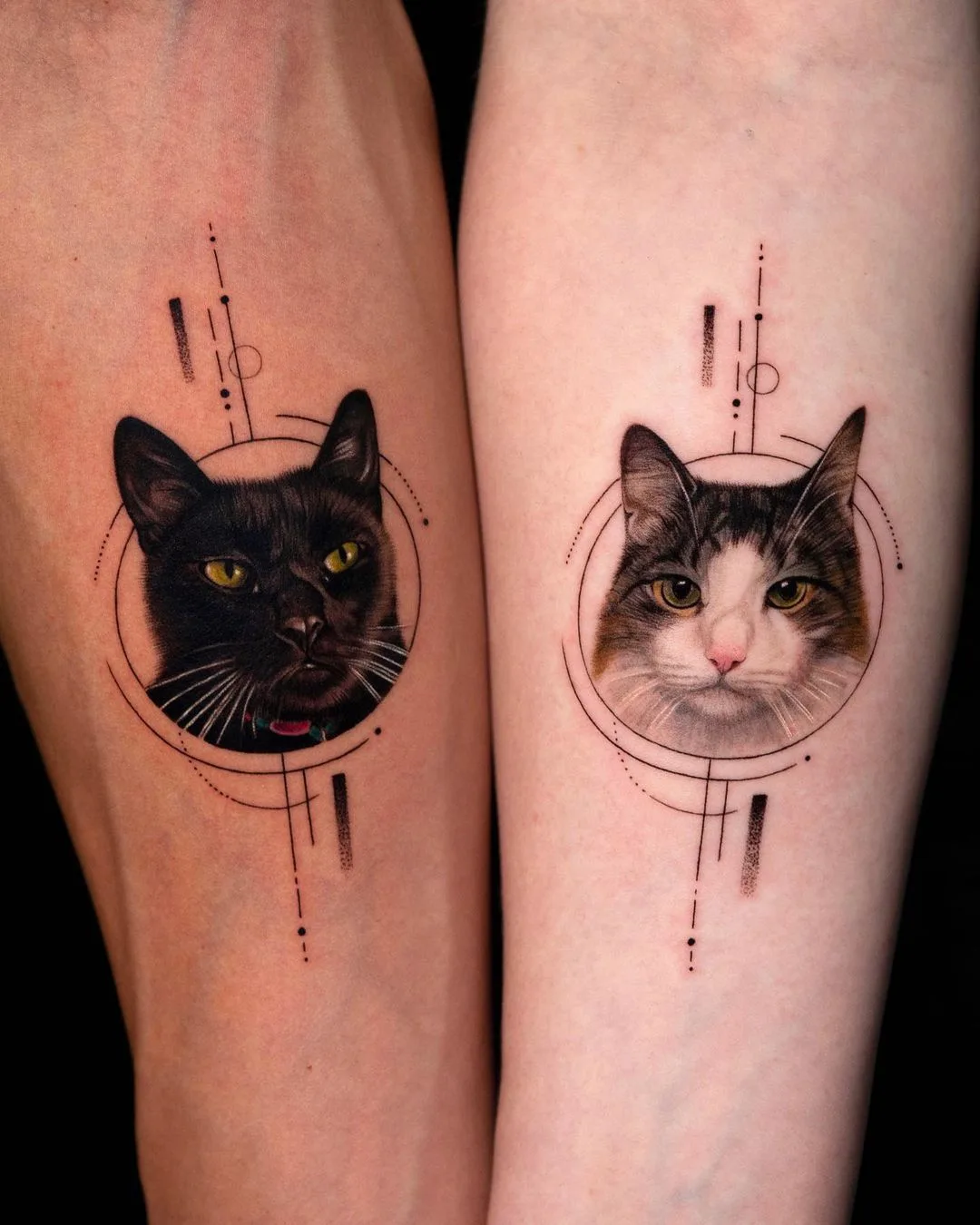 Portretti microrealistici di gatti realizzati da Dokhwa