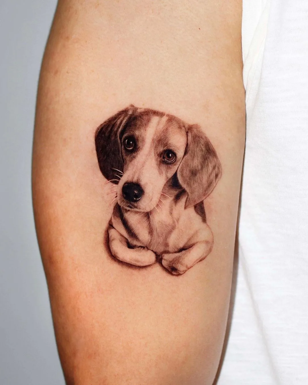 Tatuaggio di un cane in stile microrealistico da Dokhwa