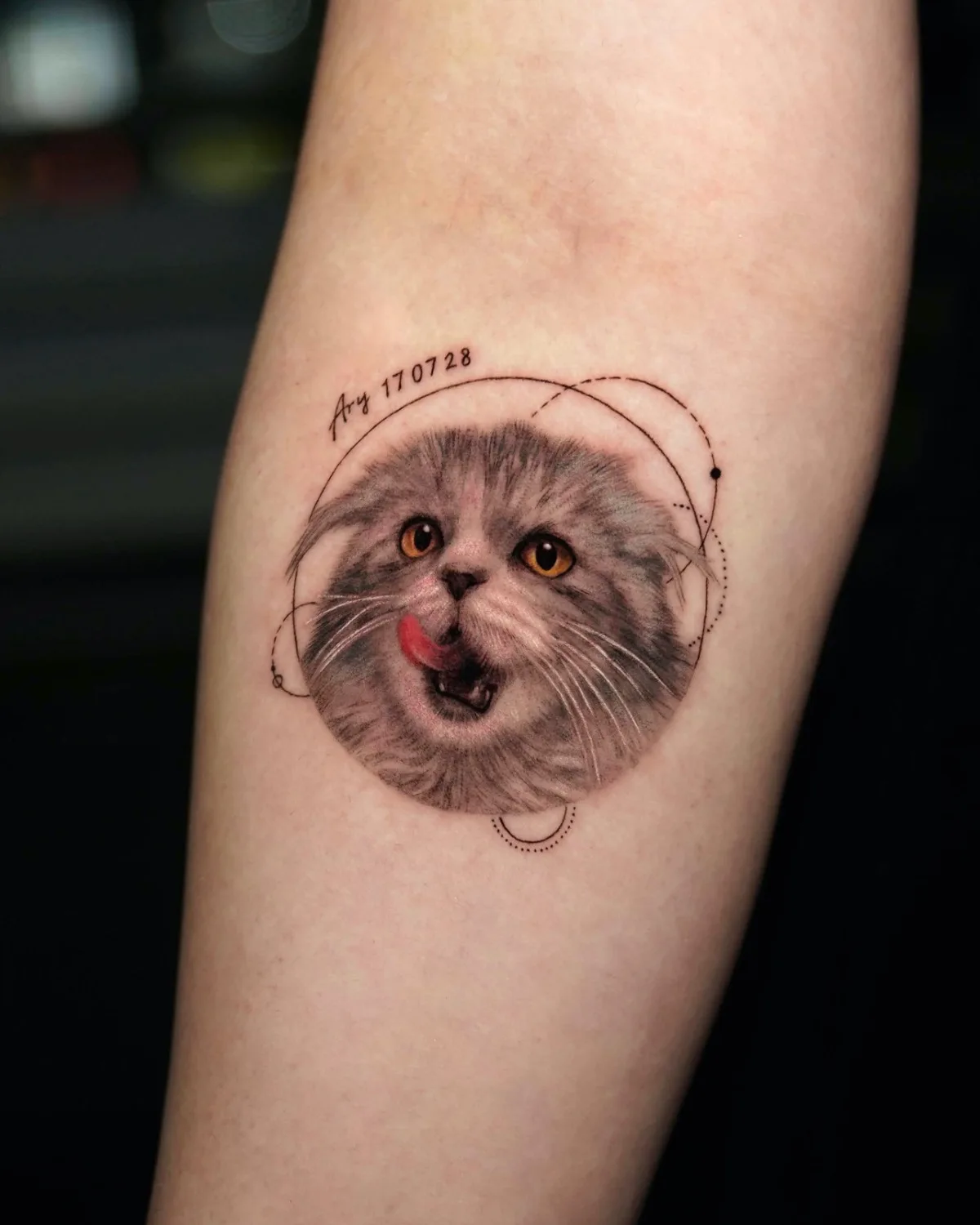 Ritratto microrealistico di un gatto realizzato da Dokhwa