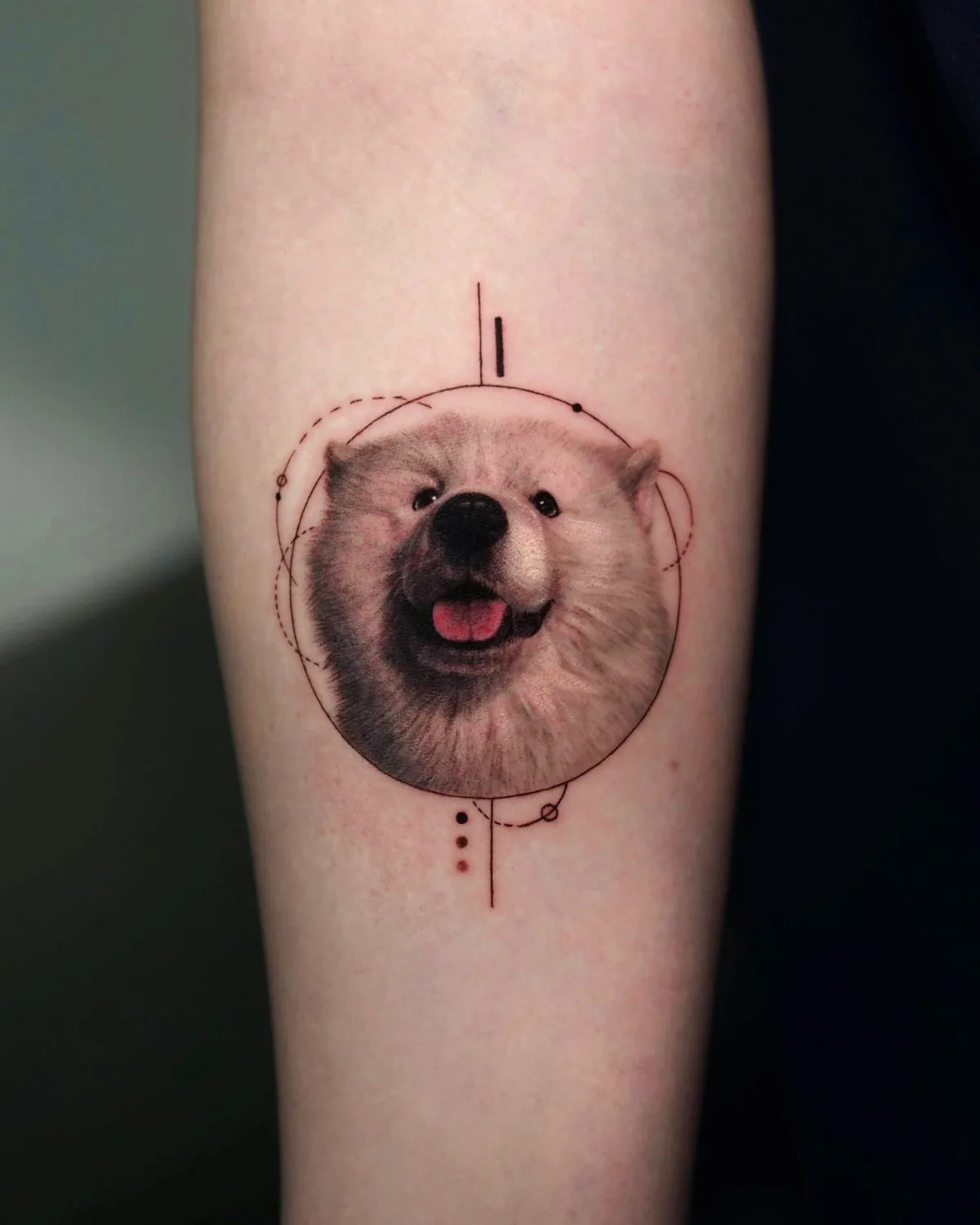 Ritratto microrealistico di un cane realizzato da Dokhwa