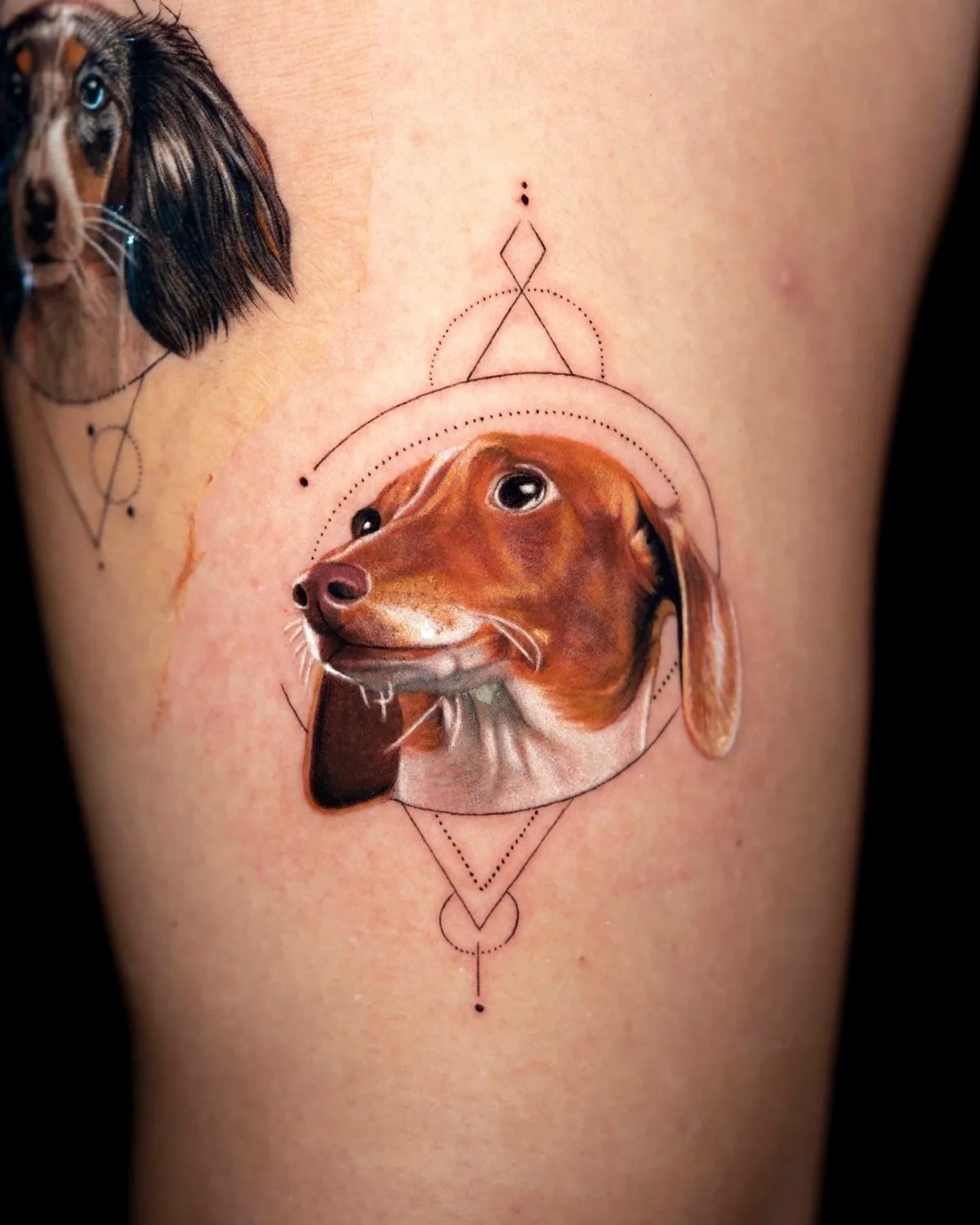 Ritratto microrealistico di un cane realizzato da Dokhwa