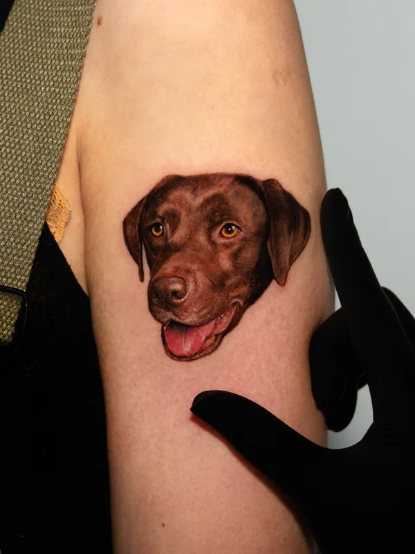 color realism Tatuagem em upper arm #65149 | Tatuador Dokhwa