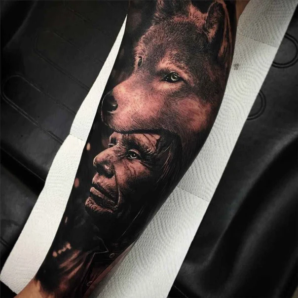 Realism Wolf, Portrait tattoo on Forearm