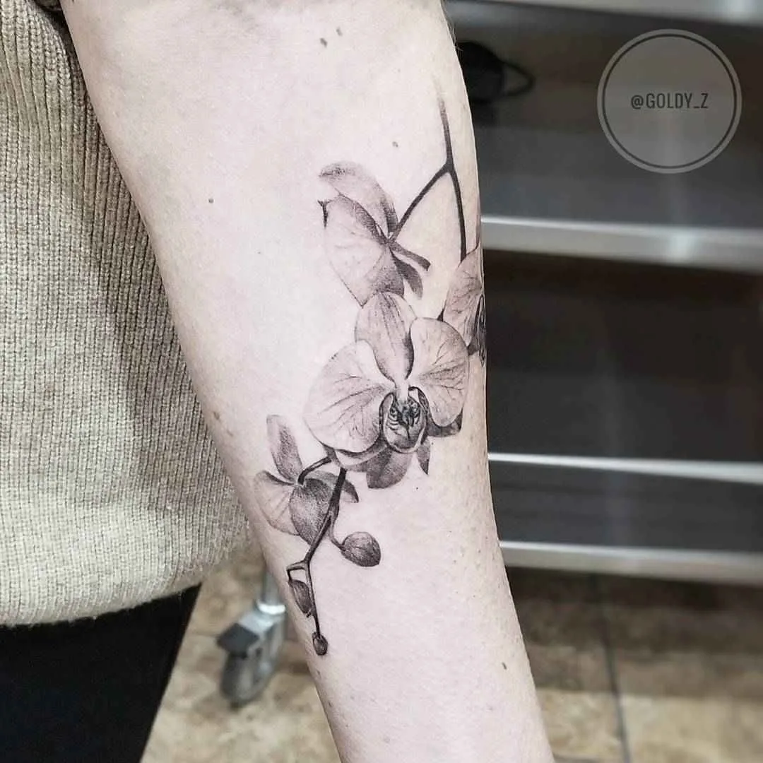 Tatuagem Zlata Kolomoyskaya, estilo realismo, minimalismo, gráfico em preto e cinza | USA