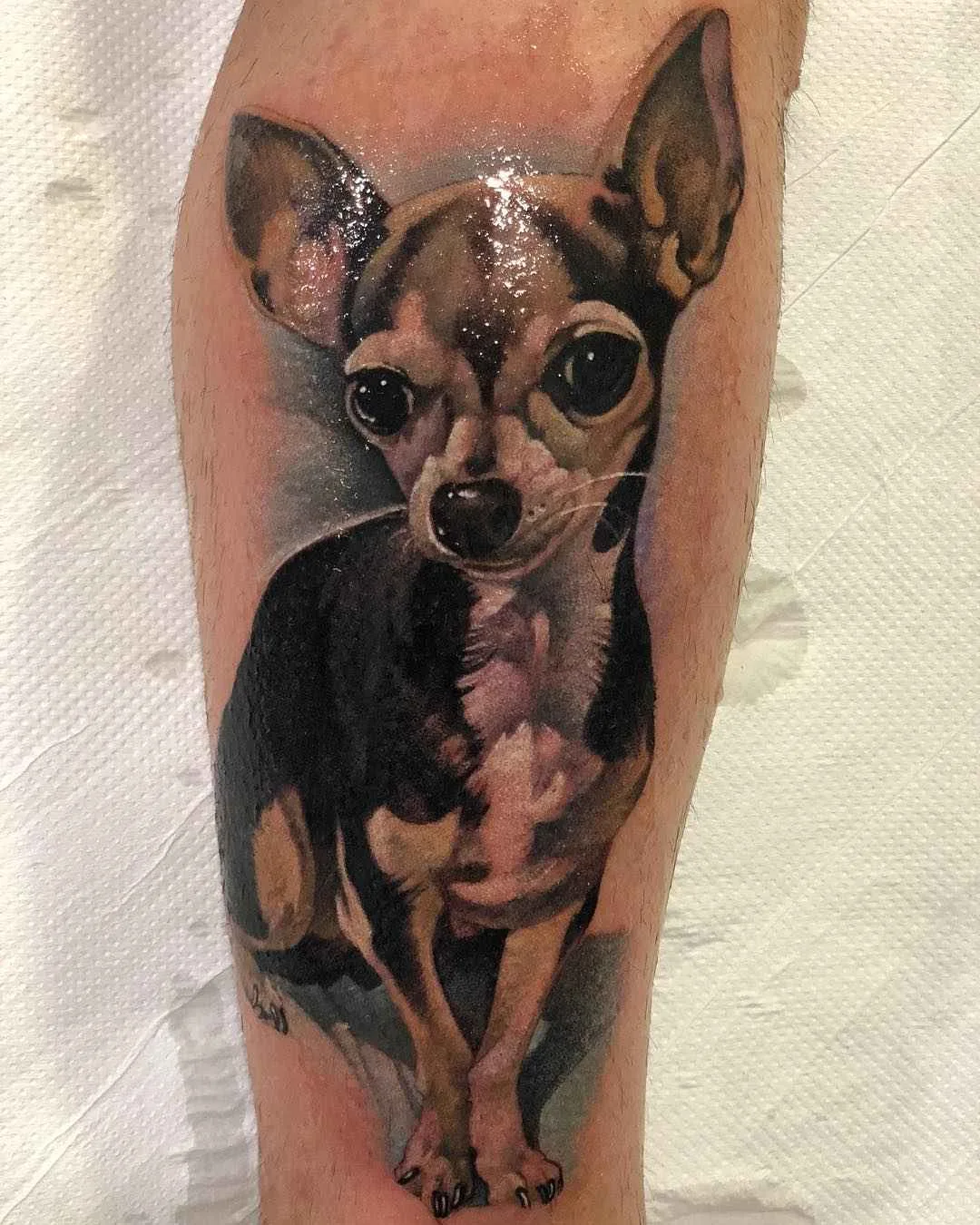 Tatuador Ben Banzai cria tatuagem de nova escola de cores | Espanha