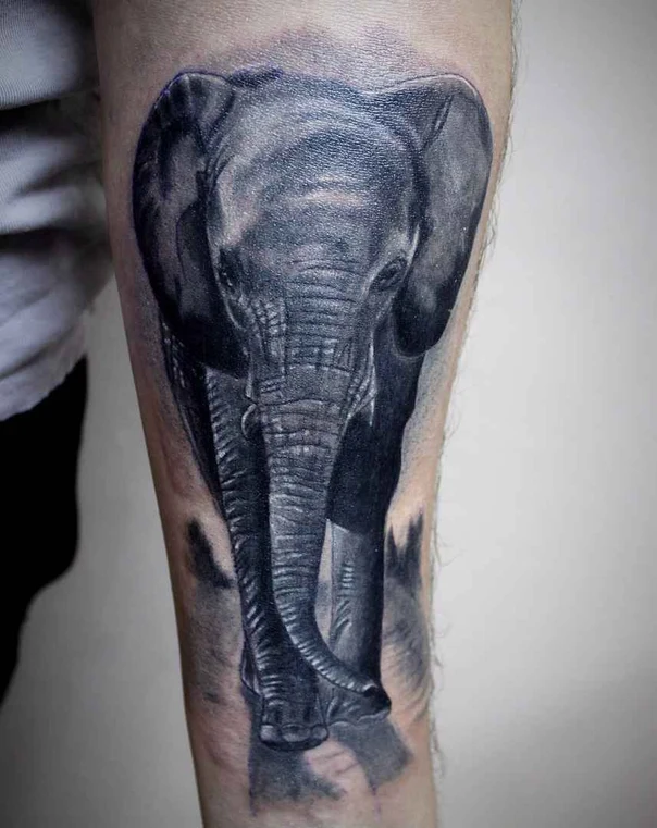 Реализм Elephant tattoo на Предплечье