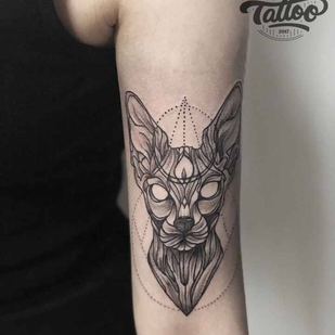 🔥 Горячие фото, портфолио модели  #18276  