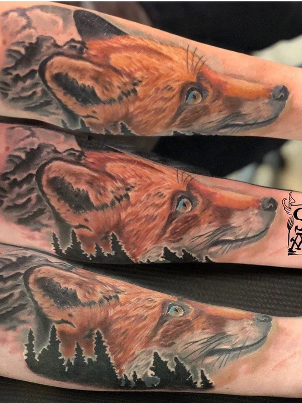 color realism татуировка на forearm #39205 | Тату мастер Иннокентий Siam 