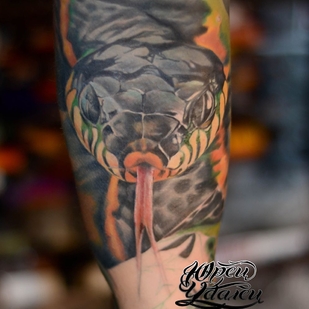 🔥 Горячие фото, портфолио модели  #39252  