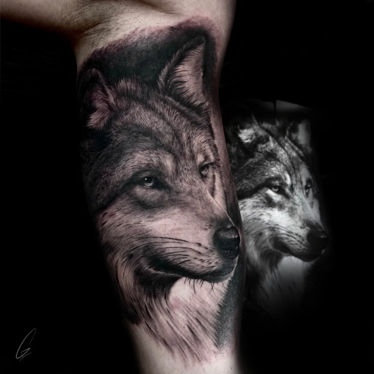 A detailed black and grey tattoo of a wolf's face on the forearm. The tattoo is highly realistic with intricate shading and detail.
