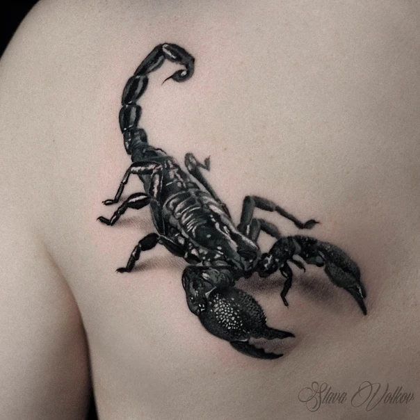 Realism Scorpion tattoo on Shoulder Blade
