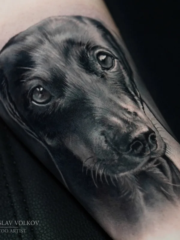 black and grey realism татуировка на forearm #67097 | Тату мастер Вячеслав Волков