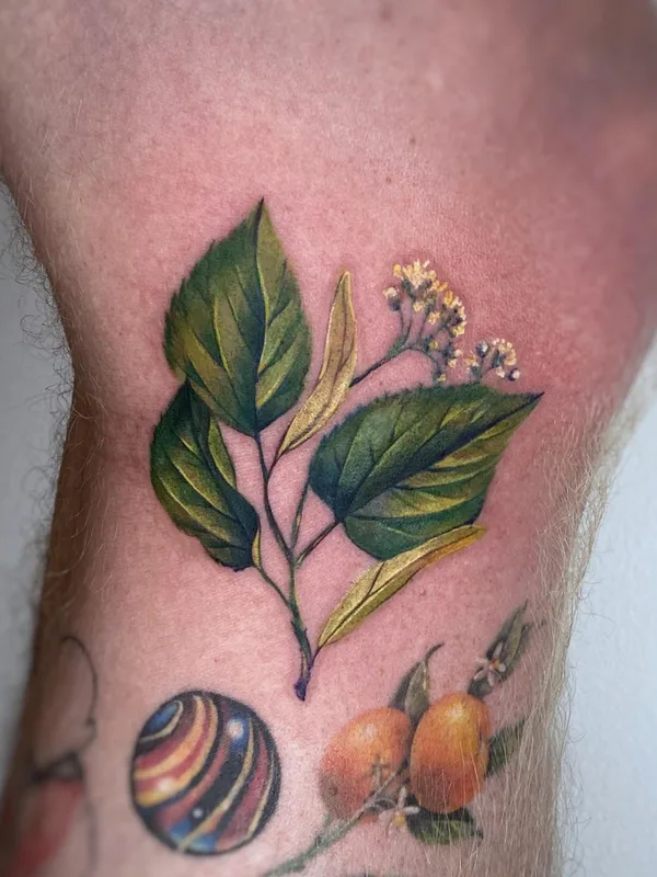 color botanic Tatuaggio su forearm #67533 | Tatuatore Martyna Popiel