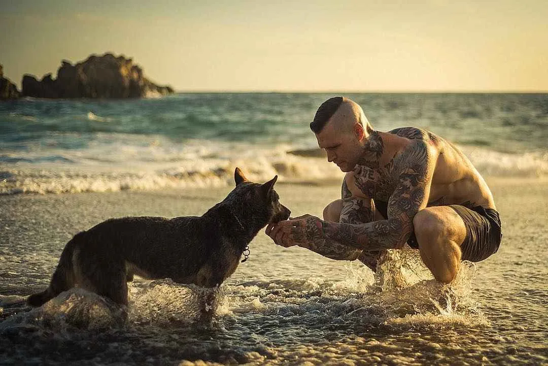 Тату модель Marshall Perrin | Male tattoo model Marshall Perrin