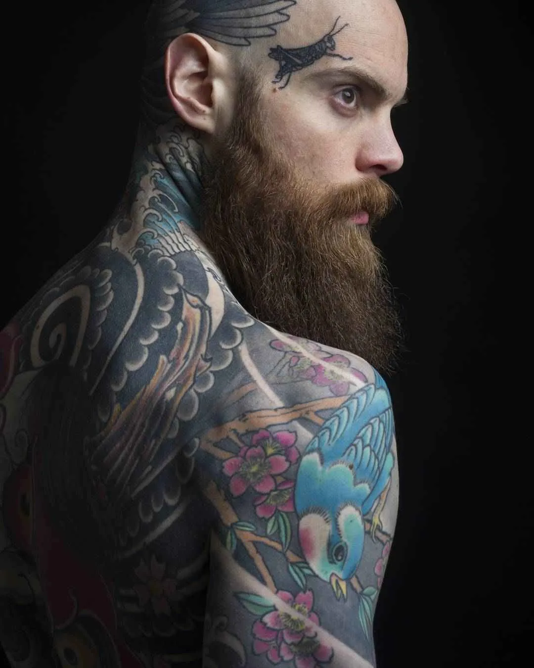 Modello di tatuaggio Sylvain Hélaine, modello di fitness alternativo maschile, uomini tatuati | Francia  