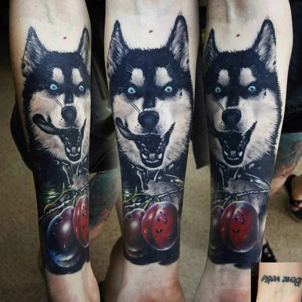 Реализм Dog, Fruit tattoo на Предплечье