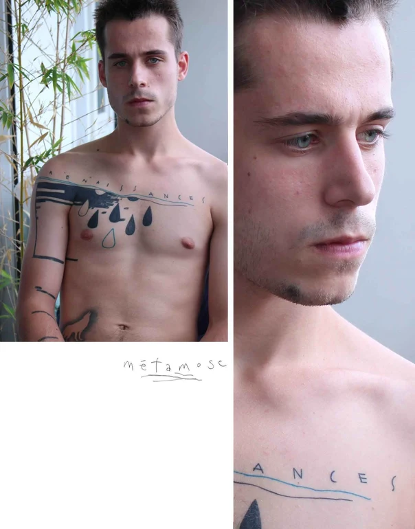 Sketch Teardrops, Wolf tattoo on Chest