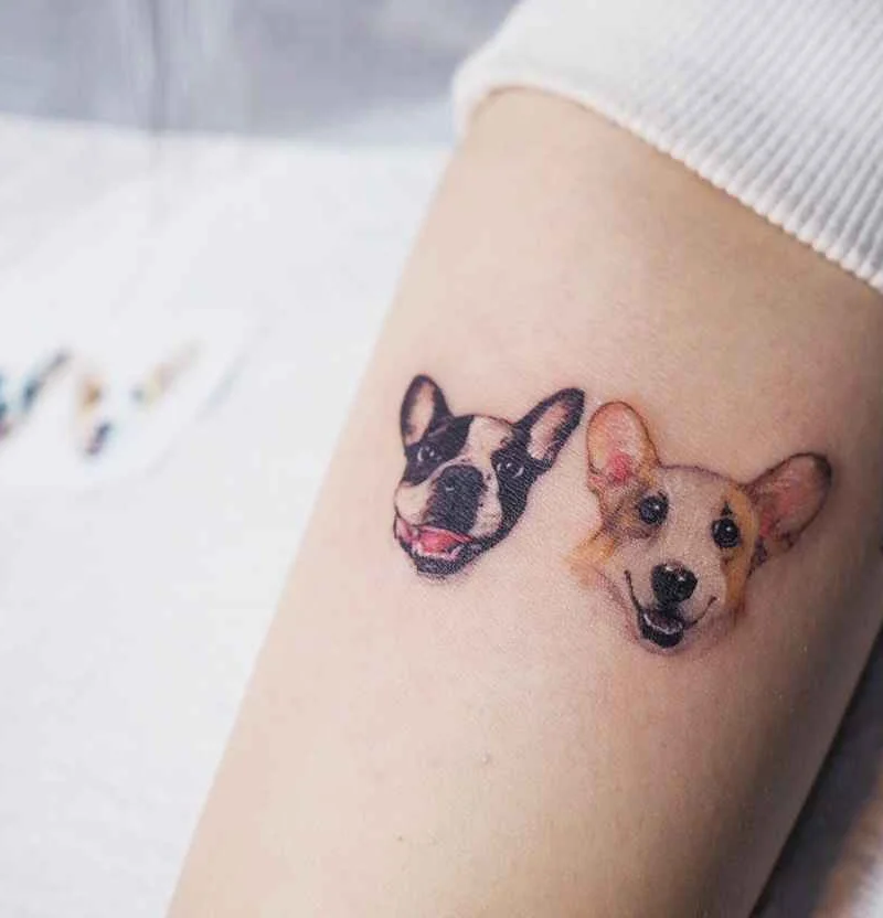Yammy's lovely pets