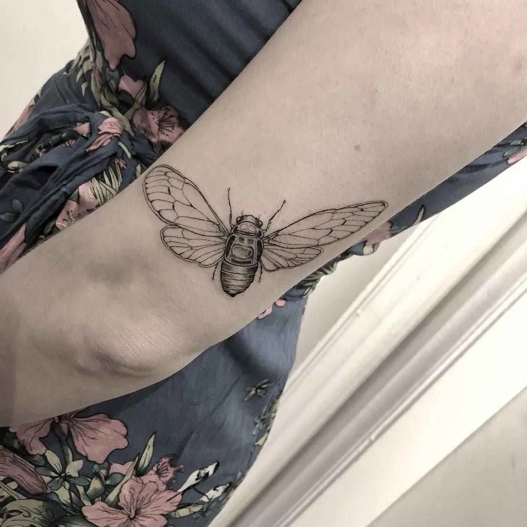 Tatuador(a) Sandra Cunha authors style blackwork tattoo, linework, surrealism | Brasil