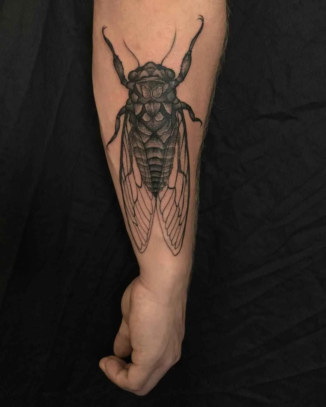 Tattoo artist Richard Warnock , tradition and neo tradition blackwork tattoo | Auckland, New Zealand