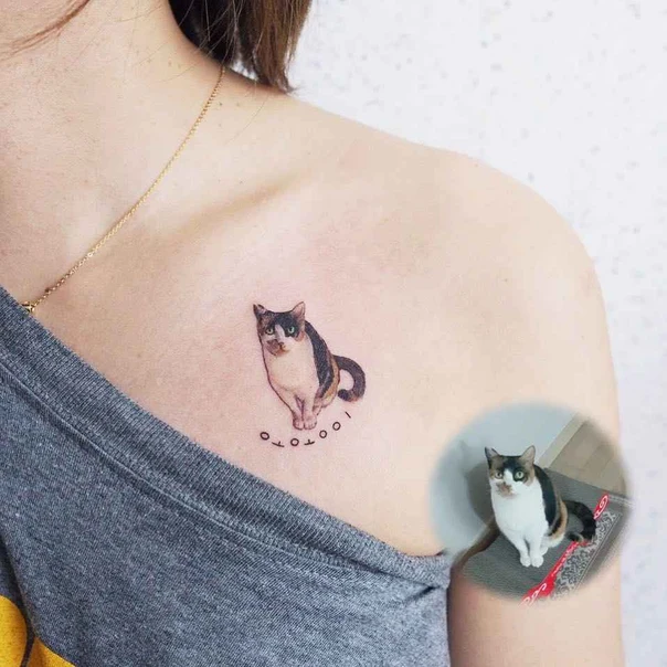 Realism Cat, Portrait tattoo on Collarbone