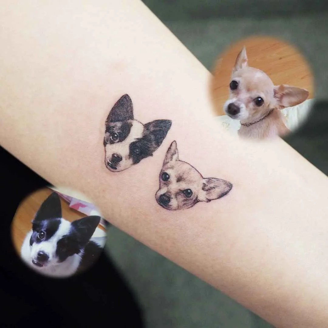 Tattoo artist Yammy, color and black and grey minimalistic pets tattoo | Seoul, Korea