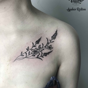 🔥 Горячие фото, портфолио модели  #19158  