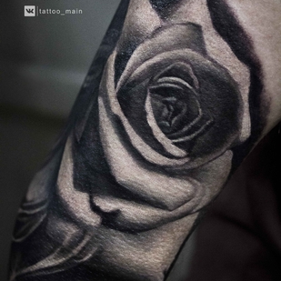 татуировка #19588 | Тату мастер Анастасия Лебедева