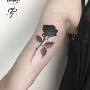 🔥 Горячие фото, портфолио модели  #20253  