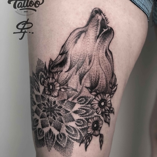 🔥 Горячие фото, портфолио модели  #20251  