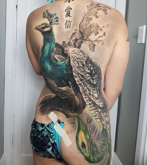 Realism Peacock, Cherry blossom tattoo on Full Back