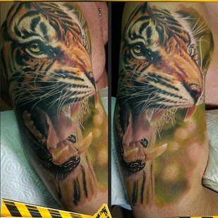 🔥 Горячие фото, портфолио модели  #30232  