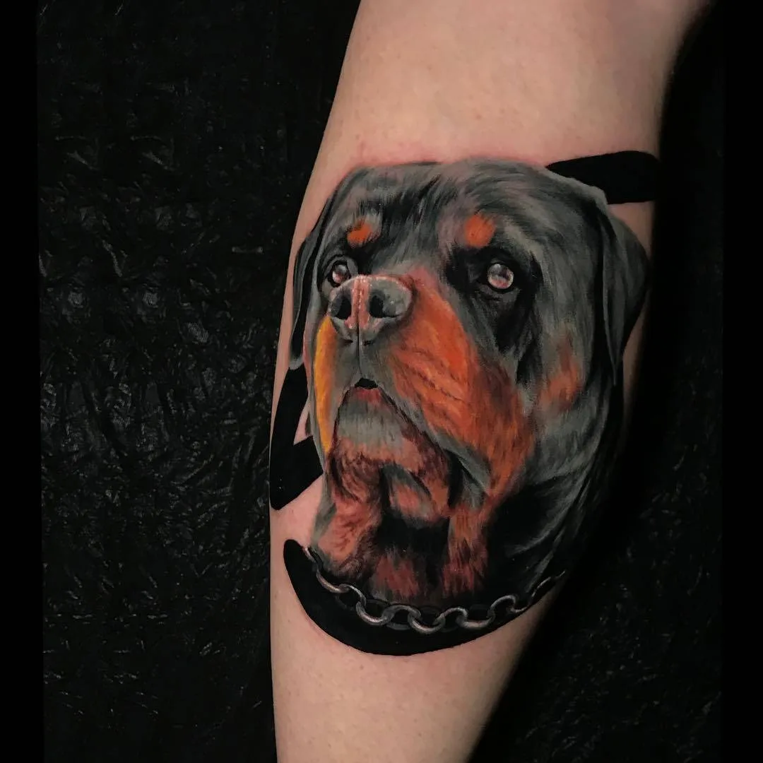 Ritratto realistico di un Rottweiler di Karen Tsvetnoy