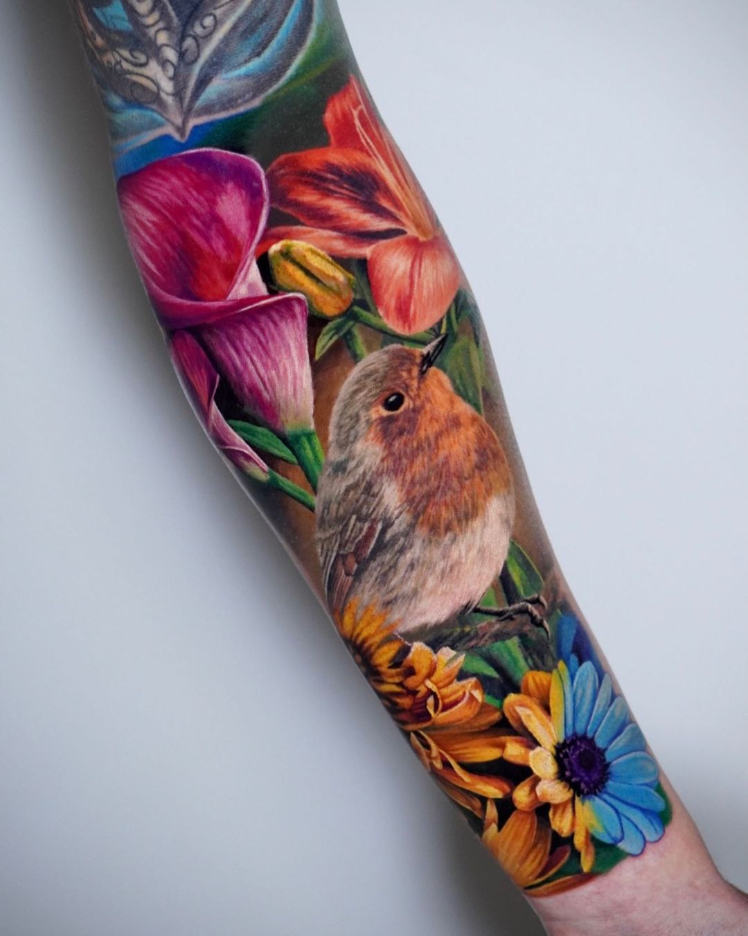 Realistic robin bird tattoo - Liz venom by LizVenom on DeviantArt