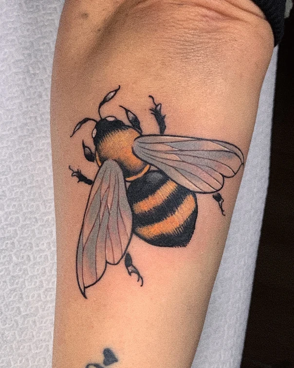 Illustrative Bee tattoo on Forearm