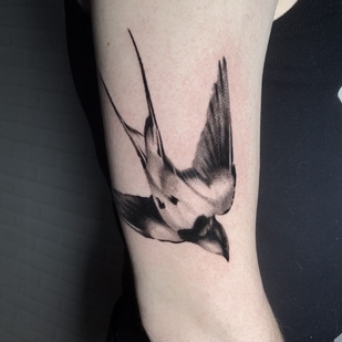 🔥 Горячие фото, портфолио модели  #68277  