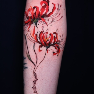 🔥 Горячие фото, портфолио модели  #68281  