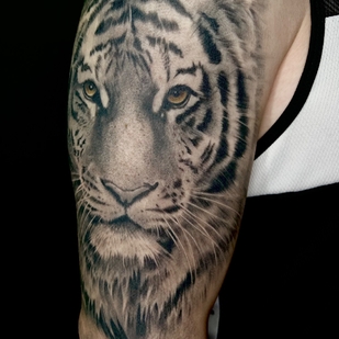 🔥 Горячие фото, портфолио модели  #68285  