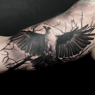 🔥 Горячие фото, портфолио модели  #68267  