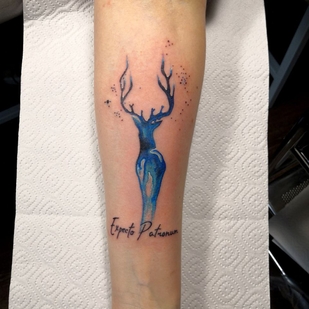 🔥 Горячие фото, портфолио модели  #68757  