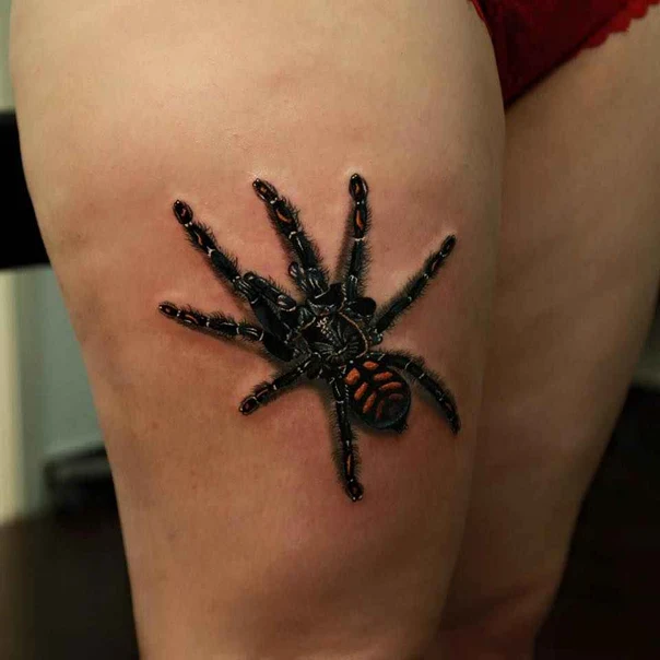 Realism Spider tattoo on Thigh