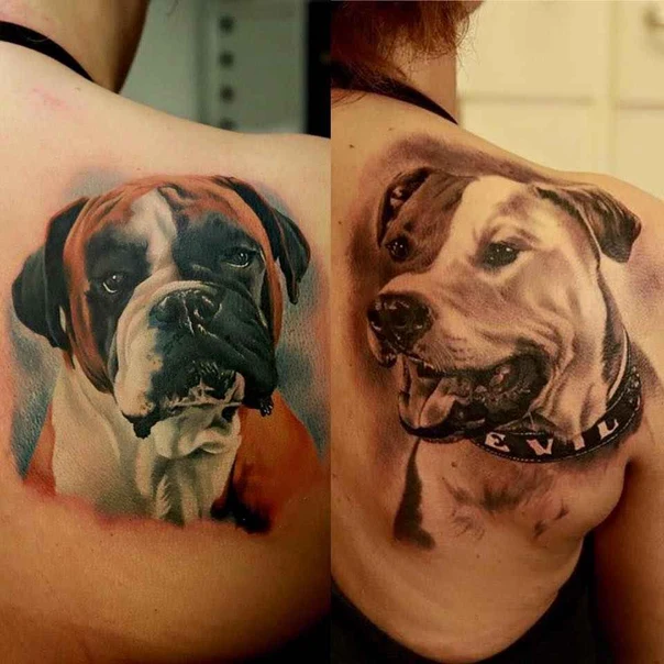 Realism Dog tattoo on Shoulder Blade