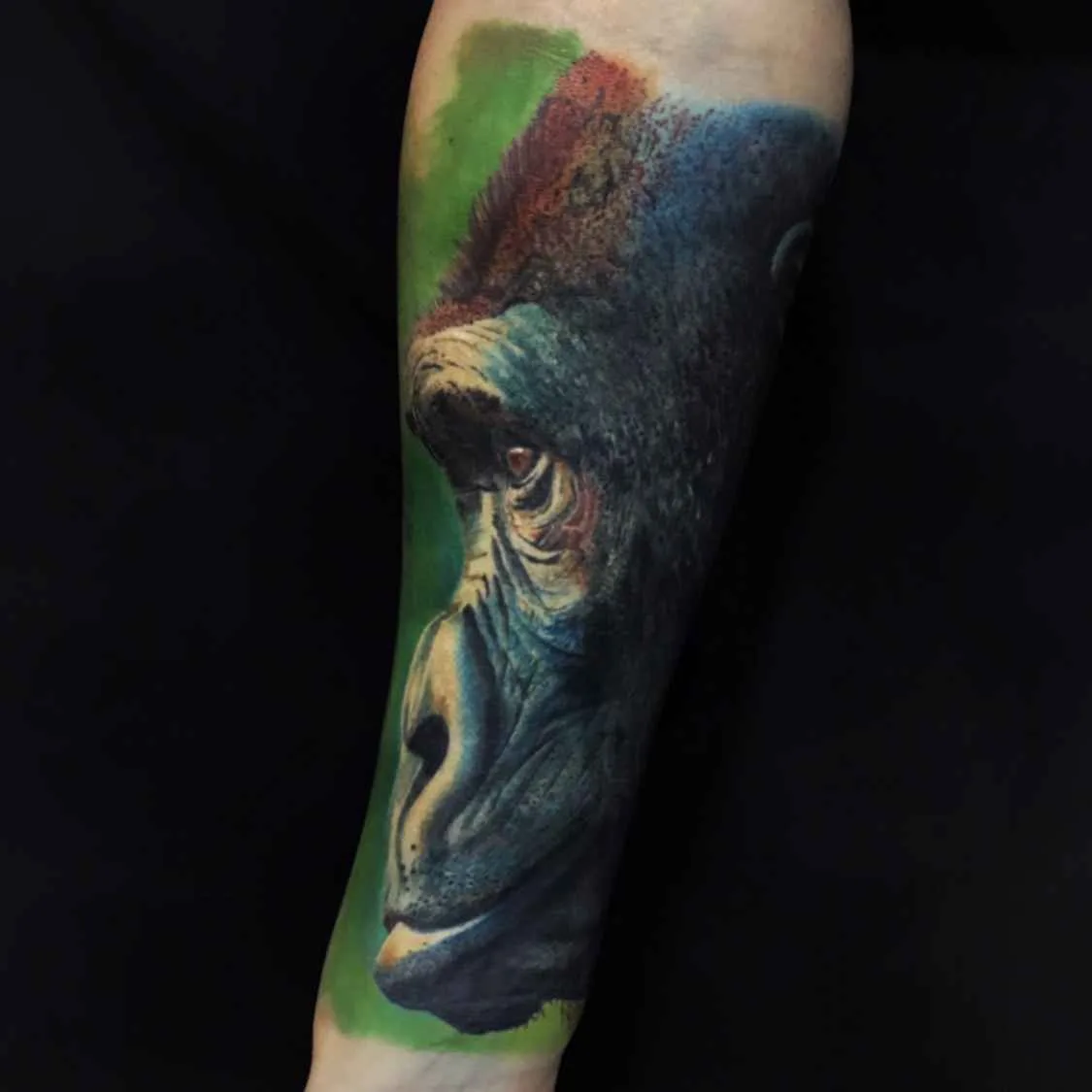 тату мастер Carlox Angarita цветные реализм татуировки | tattoo artist Carlox Angarita colour realistic tattoo