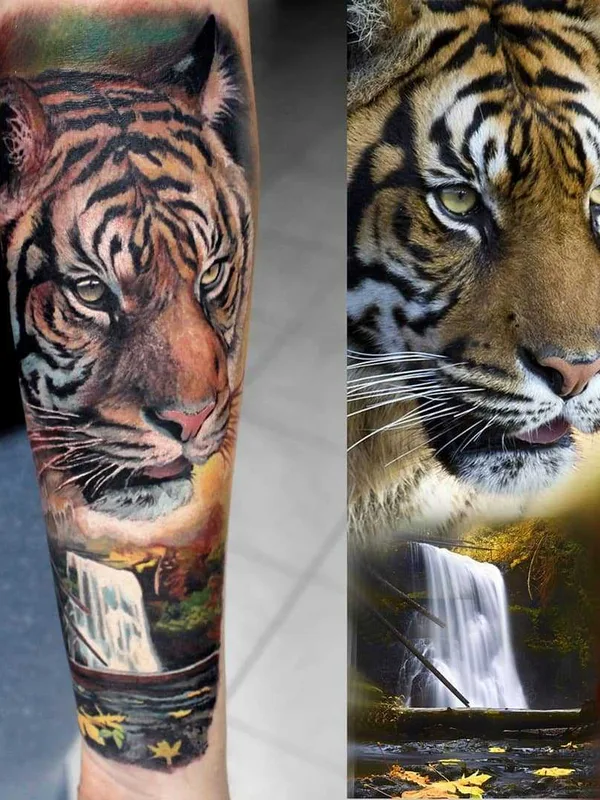 color realism татуировка на forearm #20909 | Тату мастер Rafał Dąbrowski - Ralfy