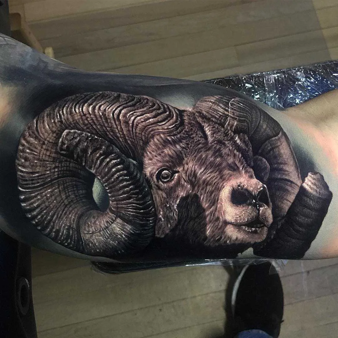 Tatuador Jacob Sheffield, cor e preto e cinza retrato tatuagem realismo | USA 